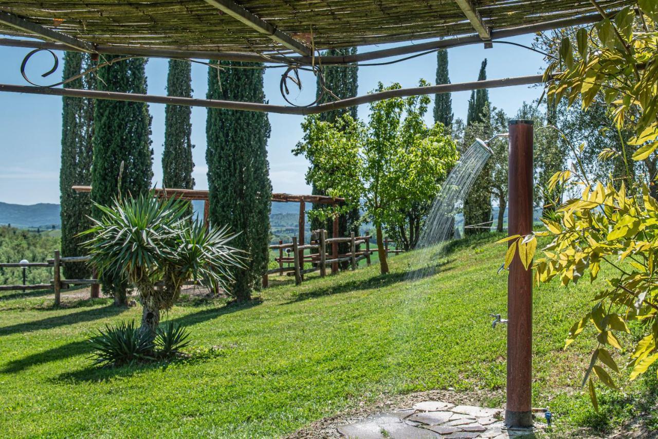 Pieve Sprenna Buonconvento