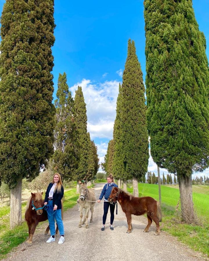 Séjour à la ferme Pieve Sprenna Buonconvento