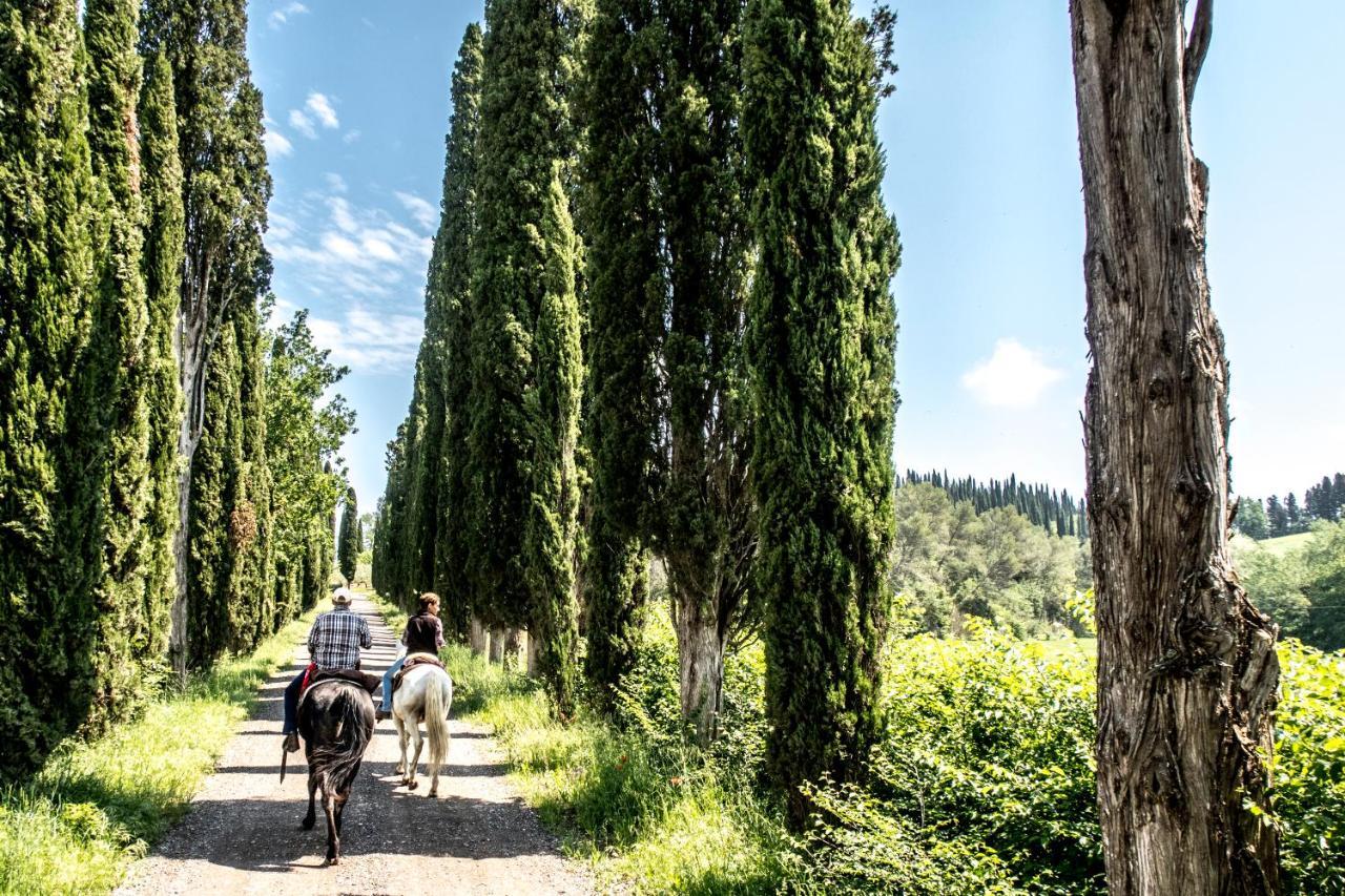 Pieve Sprenna Séjour à la ferme